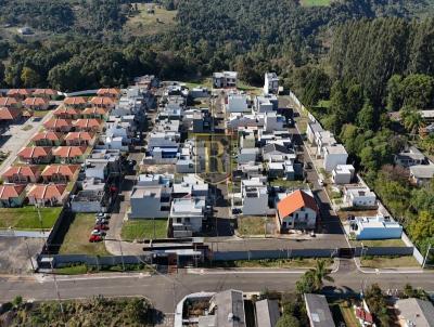 imagem-miniatura