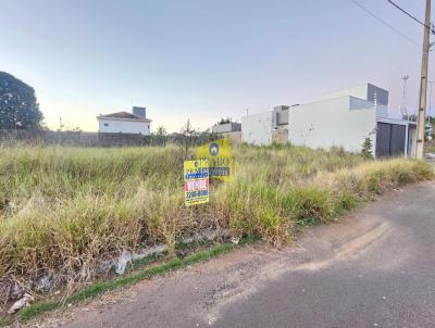 imagem-miniatura