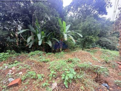 Terreno para Venda, em Areal, bairro Afonsina