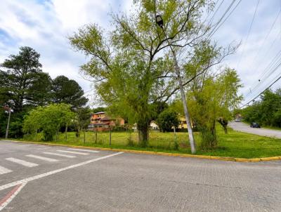 Terreno para Loca��o, em Viam�o, bairro Tarum�