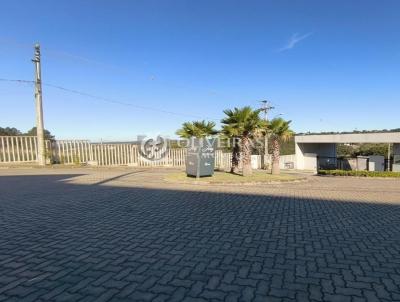 Terreno Comercial para Venda, em Viam�o, bairro Florescente