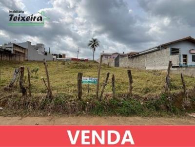 Terreno para Venda, em Jaguaria�va, bairro Cidade Alta