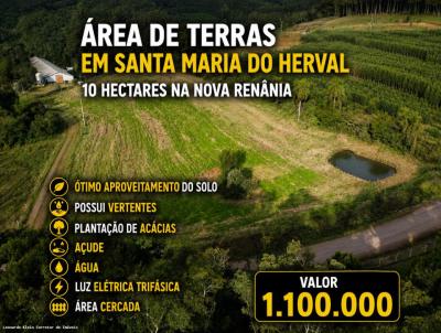 S�tio / Ch�cara para Venda, em Santa Maria do Herval, bairro Nova Ren�nia