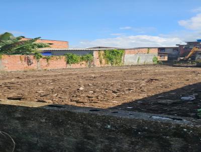 Terreno para Venda, em Itanha�m, bairro Laranjeiras