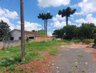 Terreno para Venda, em Ponta Grossa, bairro Oficinas