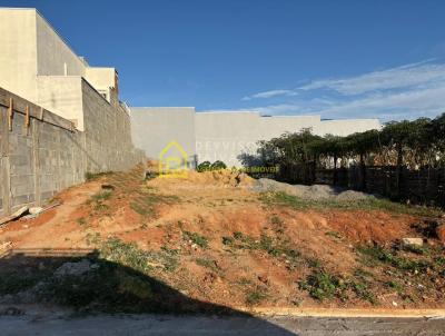 imagem-miniatura