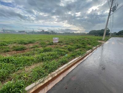 Terreno para Venda, em Maracaju, bairro Martins e Fran�a