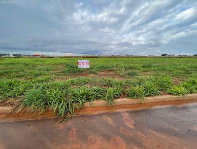 Terreno para Venda, em Maracaju, bairro Martins e Fran�a