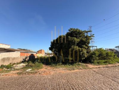 imagem-miniatura