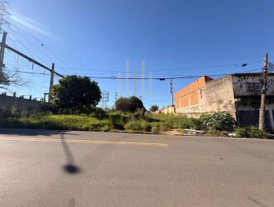 imagem-miniatura