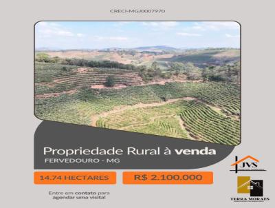 Terreno Rural para Venda, em Fervedouro, bairro 