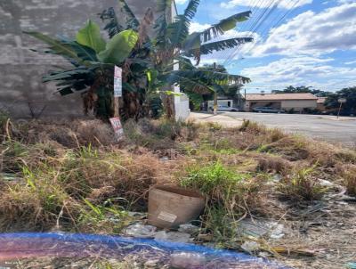 Terreno para Venda, em S�o Paulo, bairro S�o Crist�v�o II