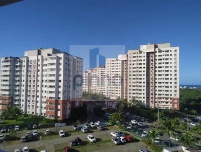 imagem-miniatura