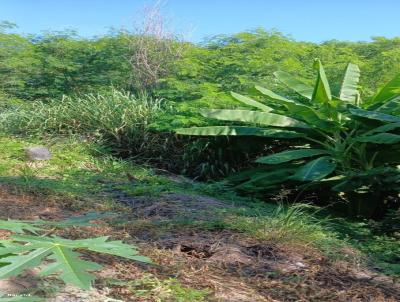 Terreno para Venda, em Saltinho, bairro Pedreira