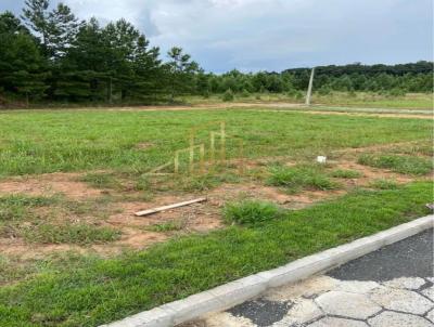 Lote para Venda, em Crici�ma, bairro Linha Batista