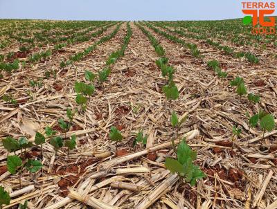 Fazenda para Venda, em Comodoro, bairro Zona rural