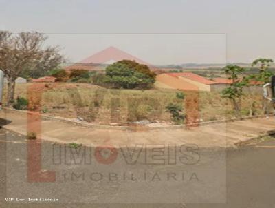 imagem-miniatura