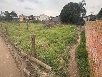 Terreno para Venda, em Florian�polis, bairro Rio Vermelho