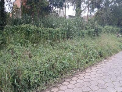 Terreno para Venda, em Peru�be, bairro Jardim Veneza