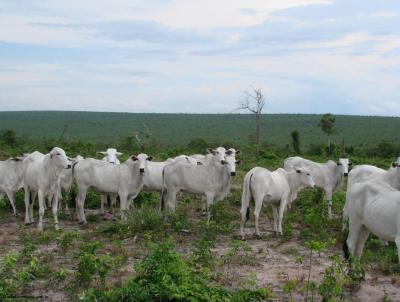 Fazenda para Venda, em Reserva do Caba�al, bairro 