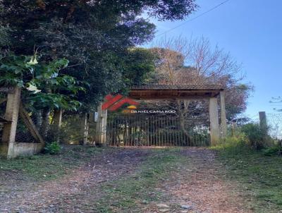 Ch�cara para Venda, em Tijucas do Sul, bairro Tabatinga