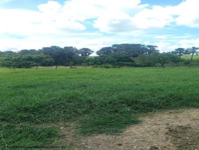 Fazenda para Venda, em S�o Gabriel do Oeste, bairro 