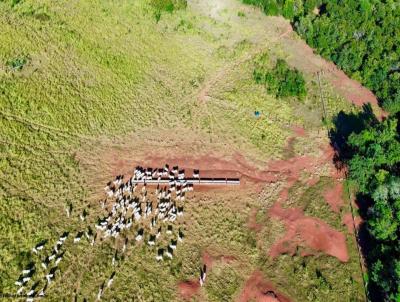 Fazenda para Venda, em Rio Verde de Mato Grosso, bairro 