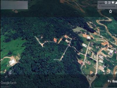 Terreno para Venda, em Betim, bairro Citrol�ndia