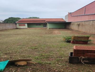 imagem-miniatura