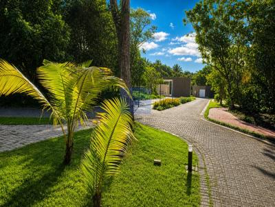 Terreno Residencial para Venda, em Cama�ari, bairro Busca Vida