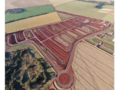 Terreno para Venda, em Cascavel, bairro Santa Cruz
