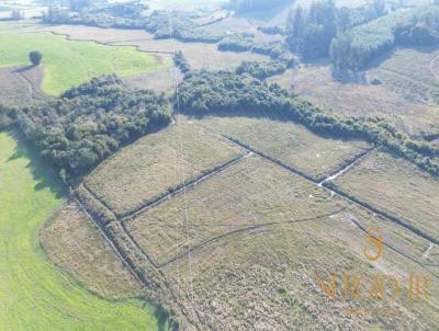 �rea Rural para Venda, em Triunfo, bairro �rea rural