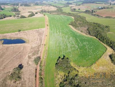 �rea Rural para Venda, em Triunfo, bairro �rea rural