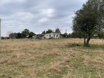 Campo para Venda, em Santana do Livramento, bairro �rea Rural de Santana do Livramento, 1 dormit�rio, 1 banheiro