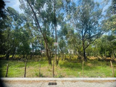 Terreno Urbano para Venda, em Florian�polis, bairro Rio Vermelho