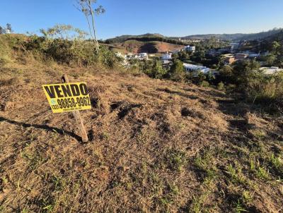 Lote para Venda, em Juiz de Fora, bairro Filgueiras
