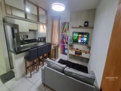 imagem-miniatura
