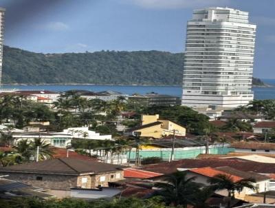 imagem-miniatura
