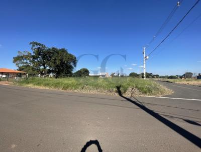 Terreno para Venda, em Astorga, bairro Jardim Everest
