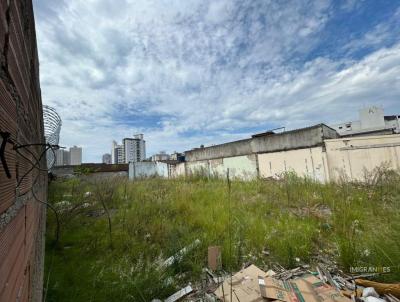 Apartamento para Venda, em , bairro GUILHERMINA