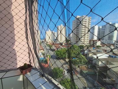 imagem-miniatura