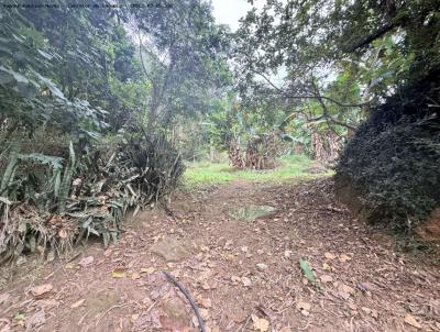 Terreno para Venda, em Areal, bairro Cedro