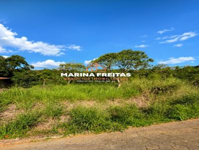 imagem-miniatura