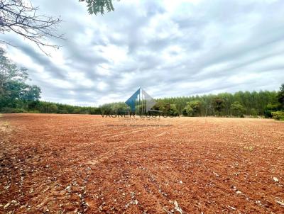 S�tio para Venda, em Esp�rito Santo do Pinhal, bairro Catingueiro, 3 dormit�rios, 2 banheiros, 17 vagas