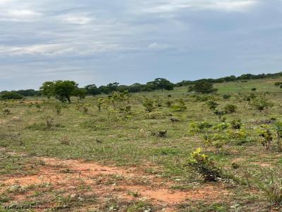 Fazenda para Venda, em Pedro Gomes, bairro 