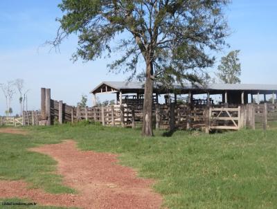 Fazenda para Venda, em Porto Murtinho, bairro 