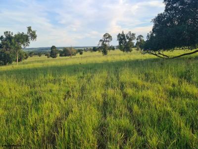 Fazenda para Venda, em Pedro Gomes, bairro 