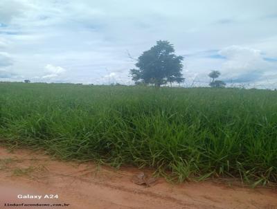 Fazenda para Venda, em Pedro Gomes, bairro 