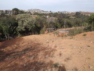 Terreno para Venda, em Barbacena, bairro Santo Ant&ocirc;nio
