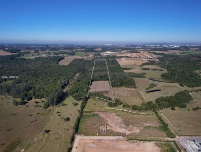 S�tio para Venda, em Cocal do Sul, bairro 